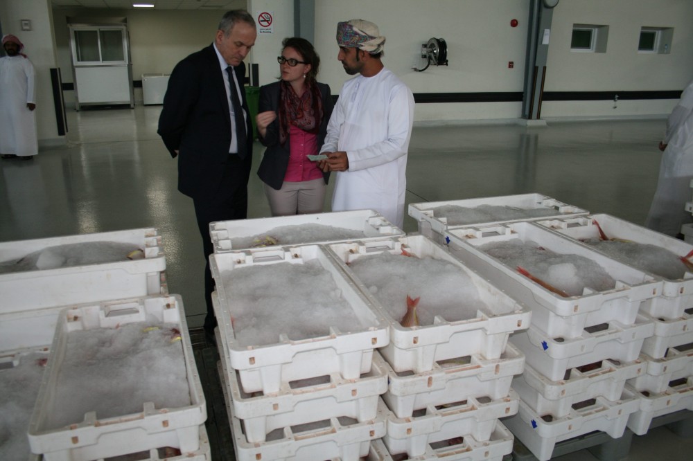 Tuňák a další tropické ryby ještě čerstvější!