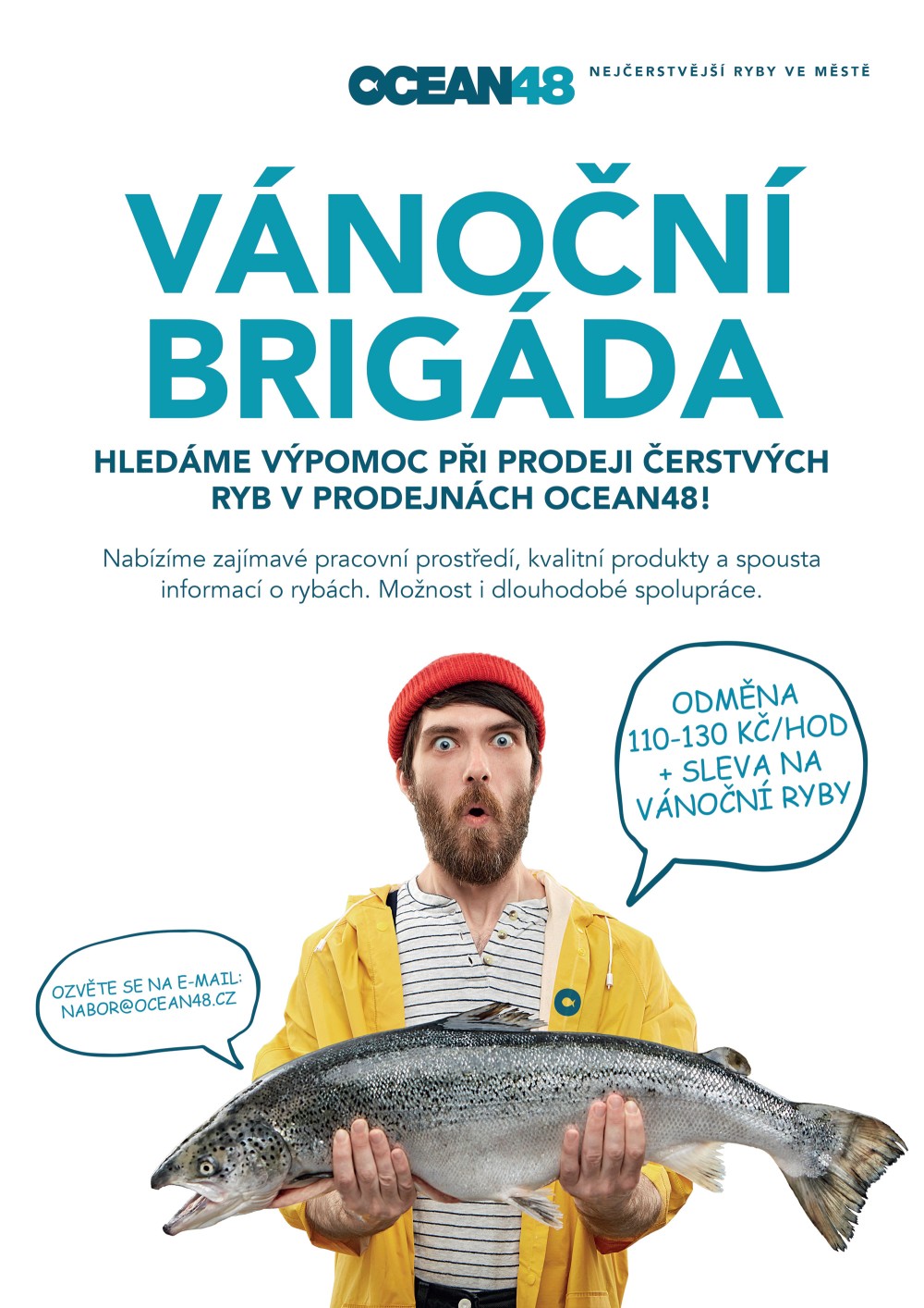 Vánoční brigáda v Ocean48!