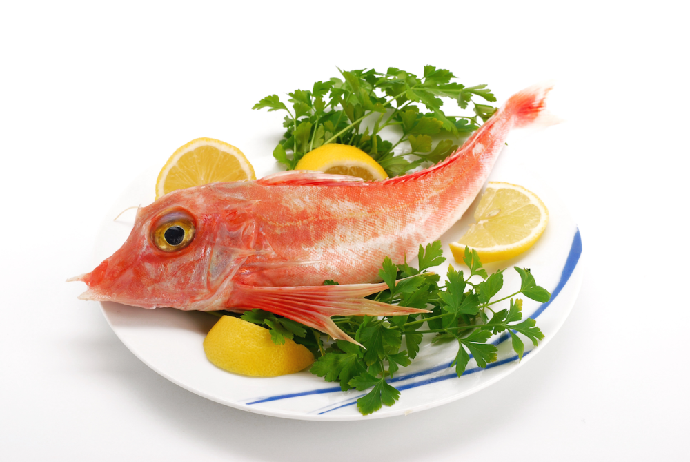 MIMOŘÁDNÁ CENA ZA SKVĚLOU RYBU!