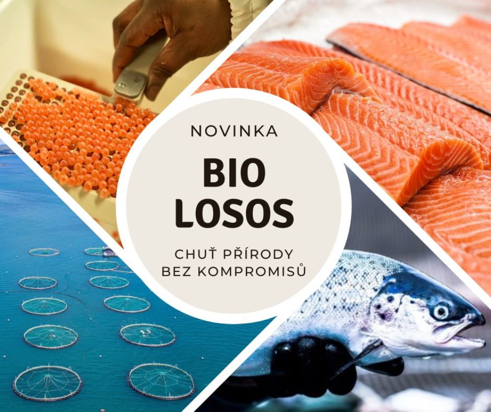 Irský losos v BIO kvalitě