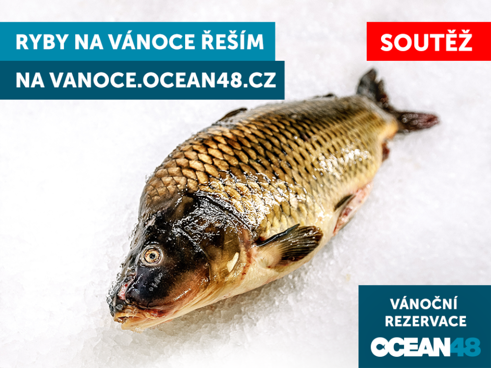 MÁME PRO VÁS VÁNOČNÍ SOUTĚŽ!